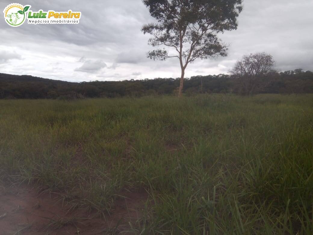 Fazenda à venda, 500m² - Foto 15