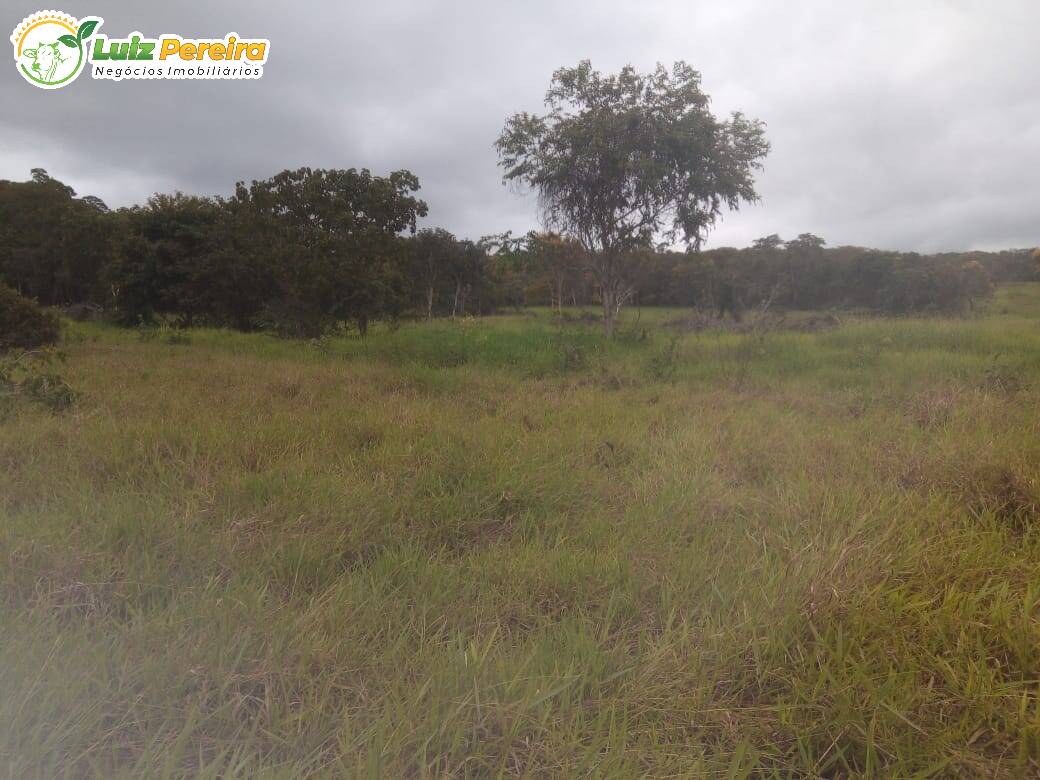 Fazenda à venda, 500m² - Foto 1