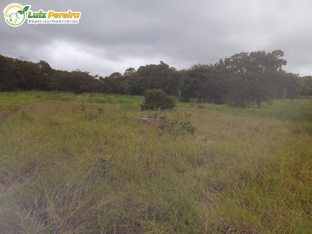 Fazenda à venda, 500m² - Foto 28