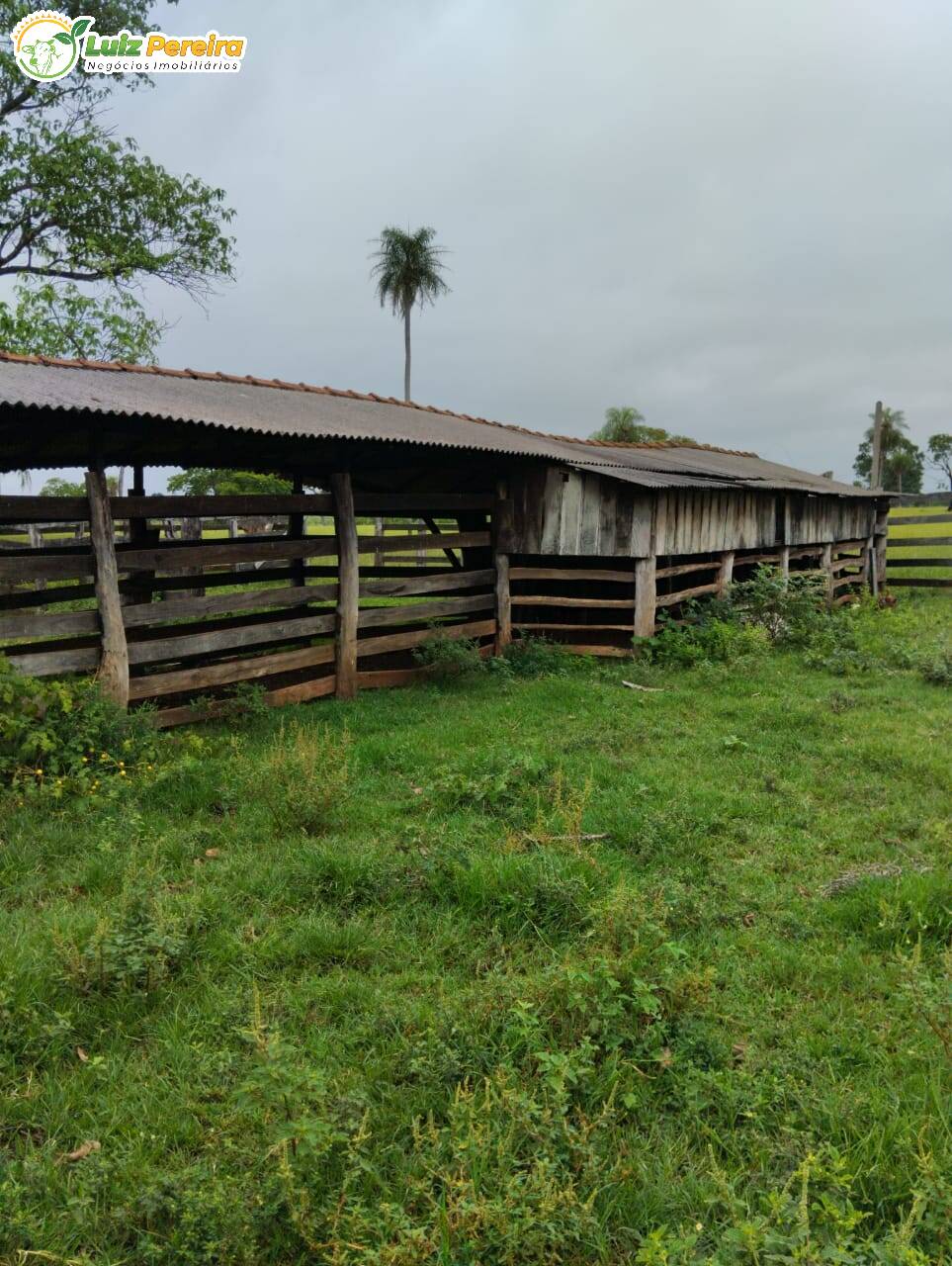 Fazenda à venda, 45m² - Foto 8