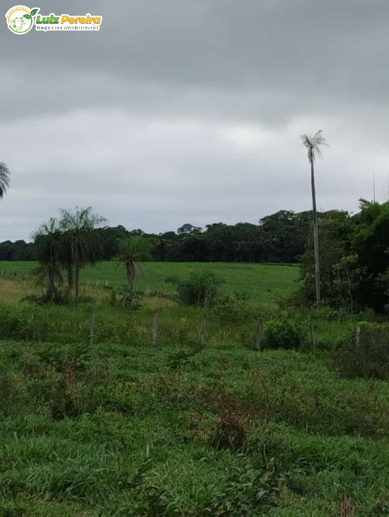 Fazenda à venda, 45m² - Foto 2