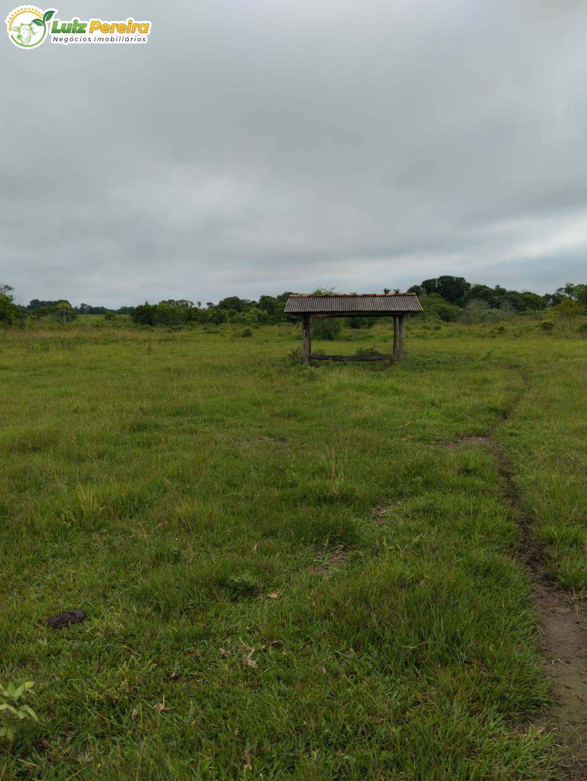 Fazenda à venda, 45m² - Foto 6