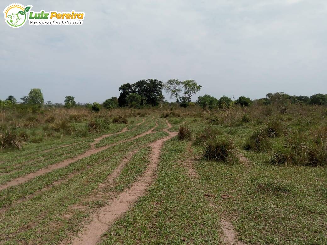 Fazenda à venda, 152m² - Foto 10