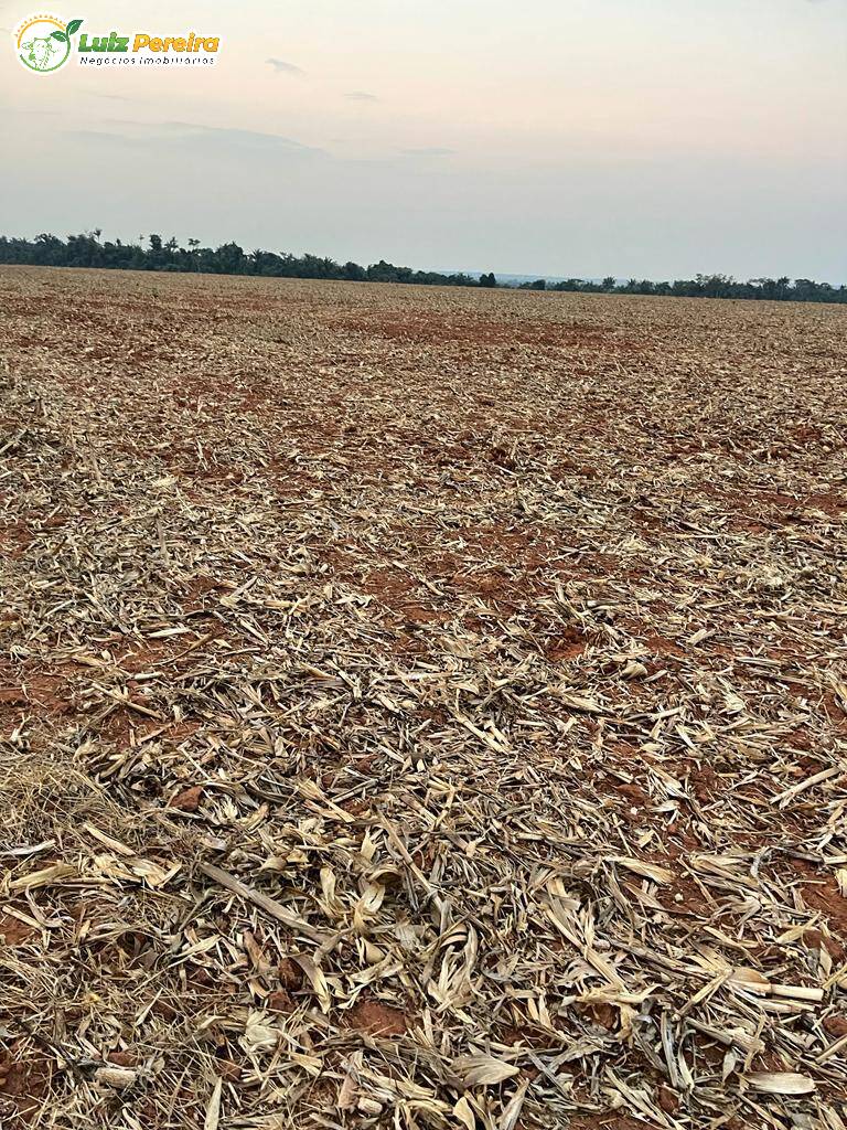 Fazenda à venda, 3600m² - Foto 7