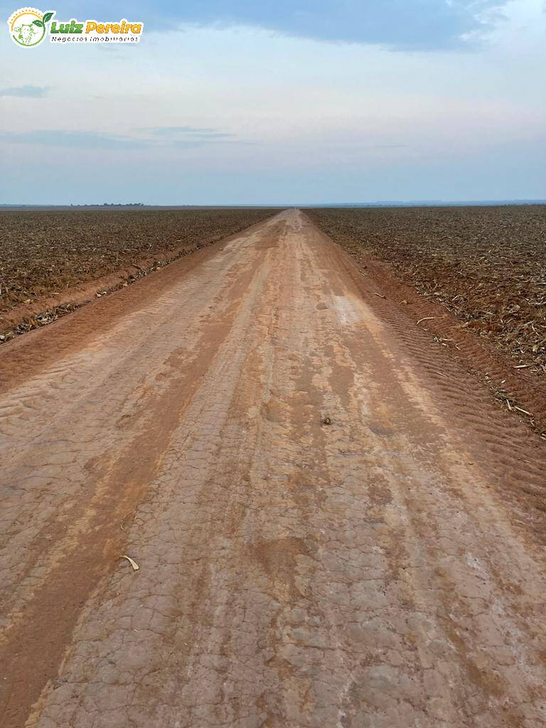 Fazenda à venda, 3600m² - Foto 10