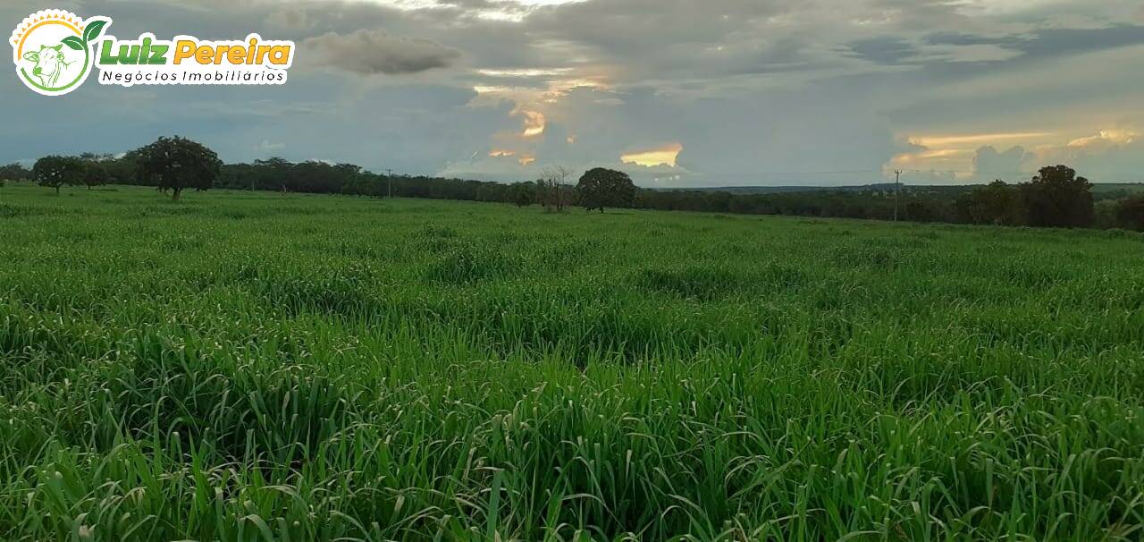 Fazenda à venda, 133m² - Foto 8