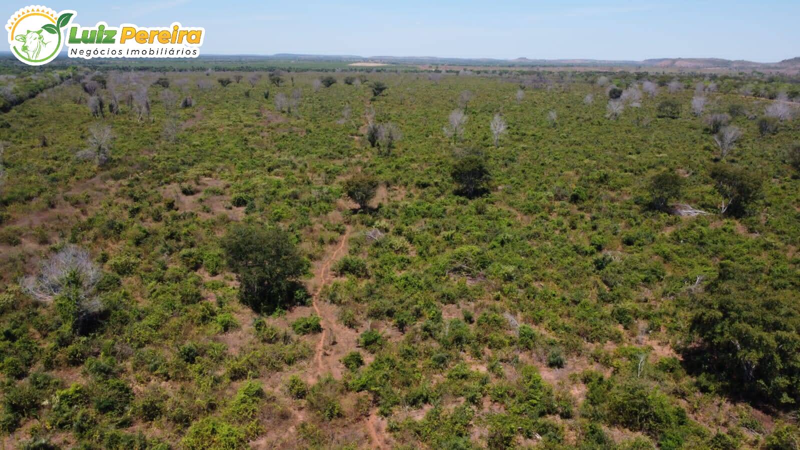 Fazenda à venda, 3300m² - Foto 5