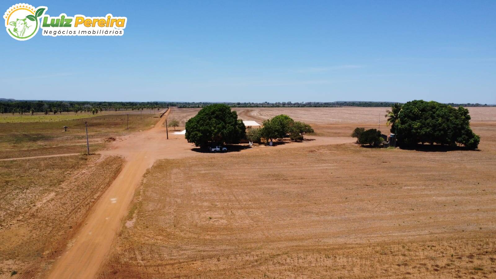 Terreno à venda, 3300m² - Foto 6