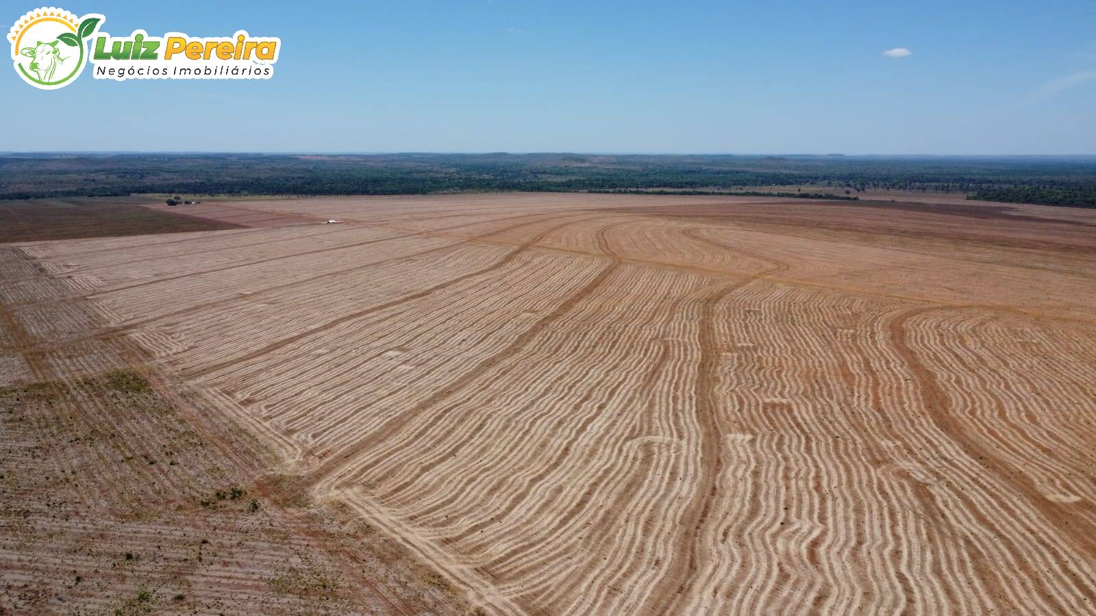 Terreno à venda, 3300m² - Foto 10