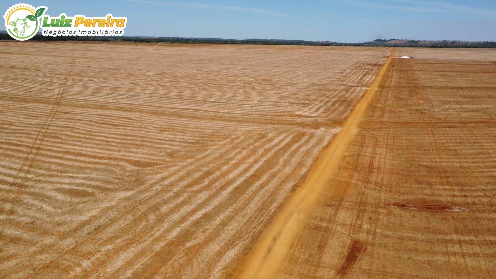 Terreno à venda, 3300m² - Foto 12