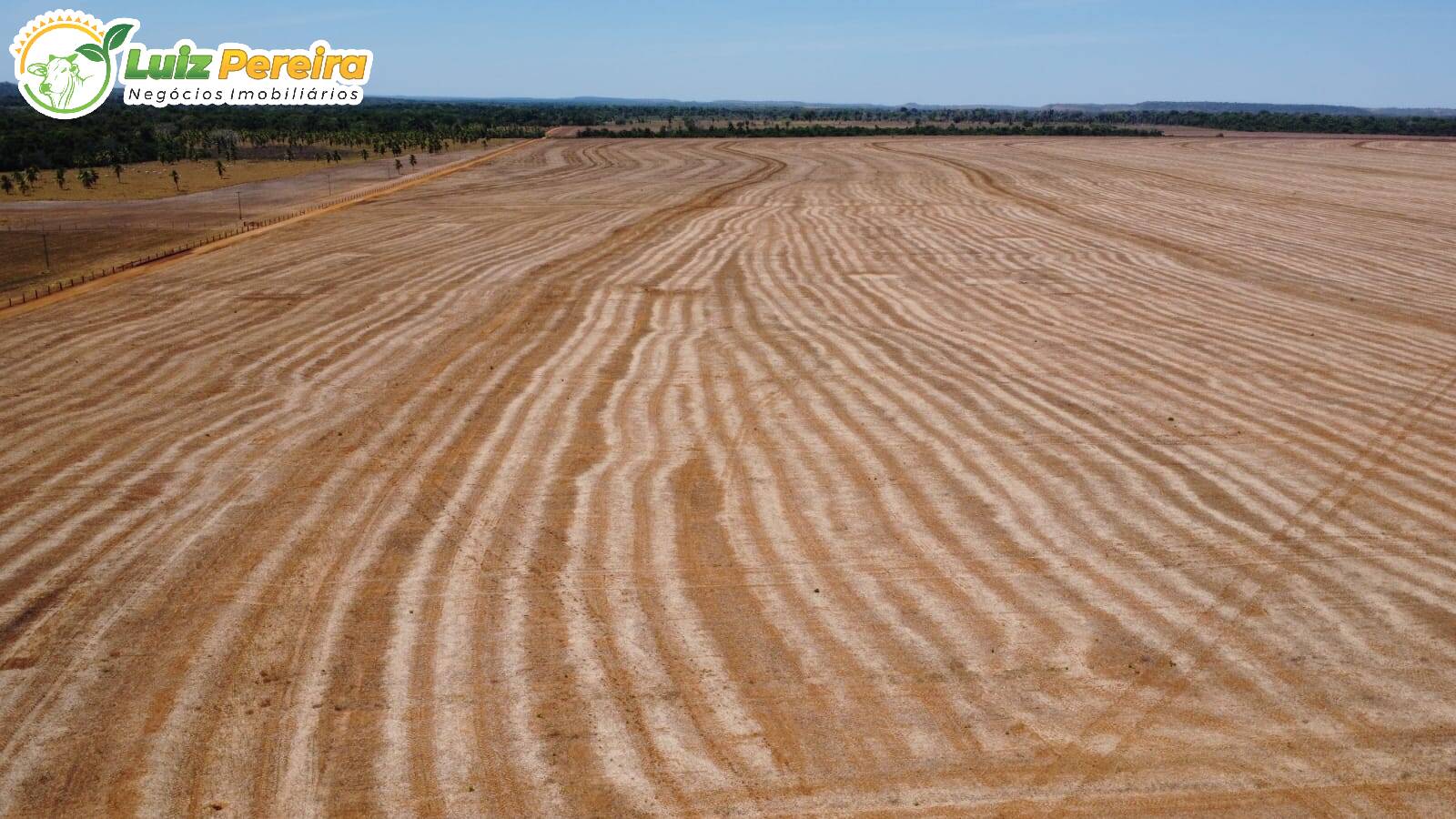 Terreno à venda, 3300m² - Foto 13