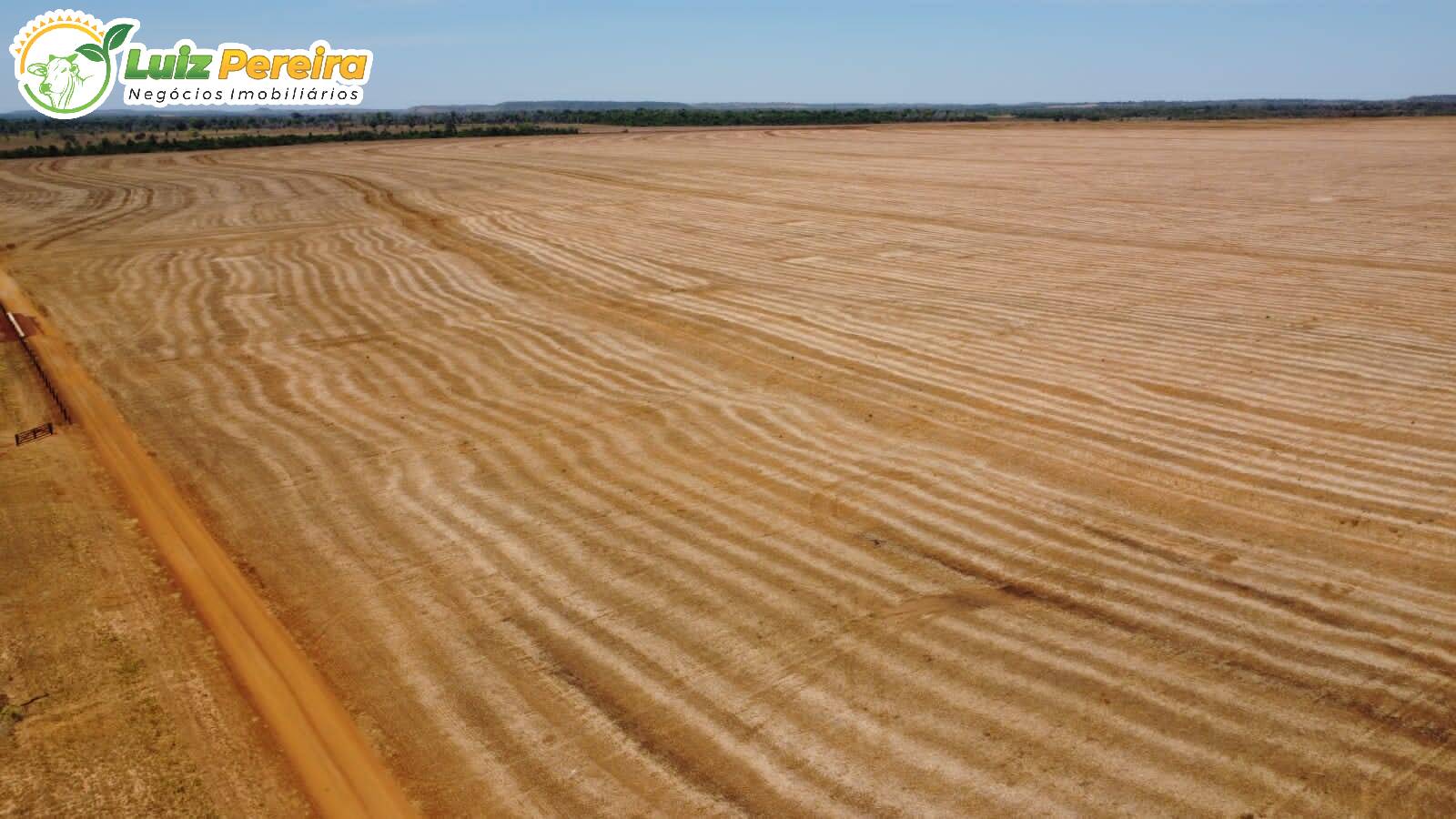 Fazenda à venda, 3300m² - Foto 24