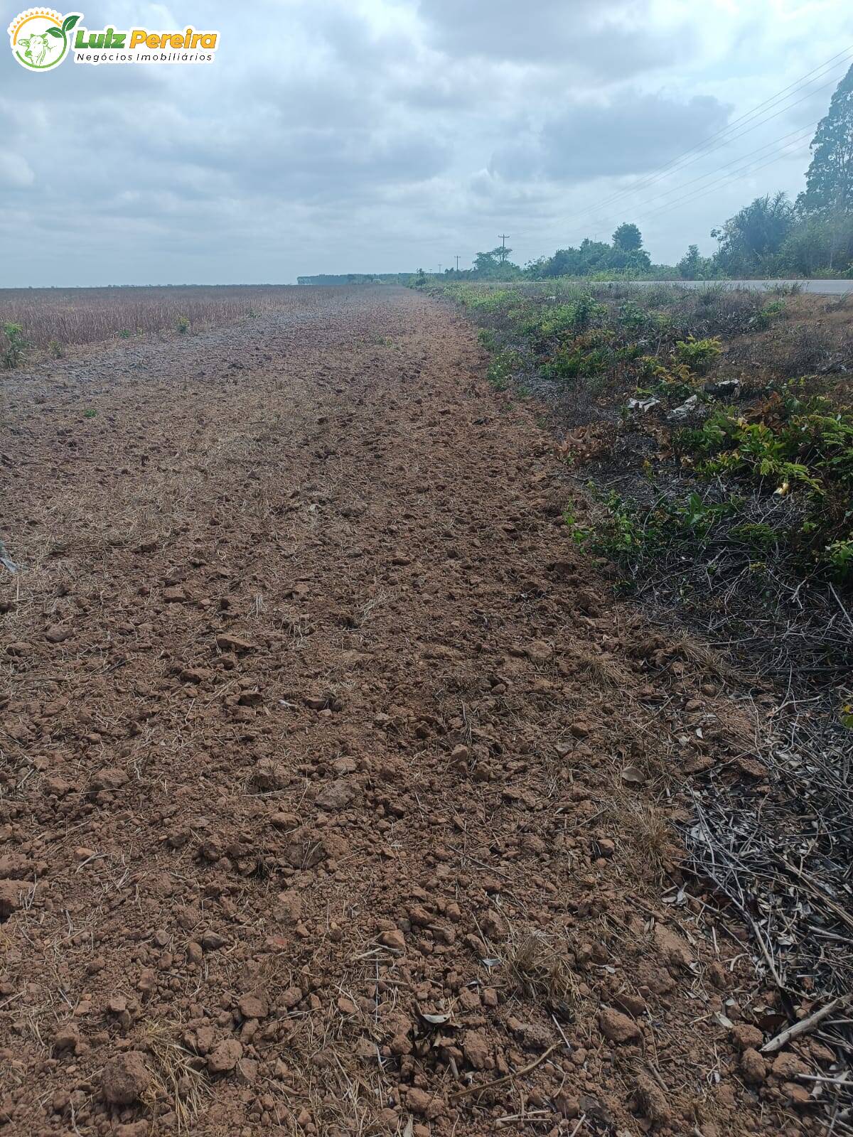 Fazenda à venda, 26000m² - Foto 6