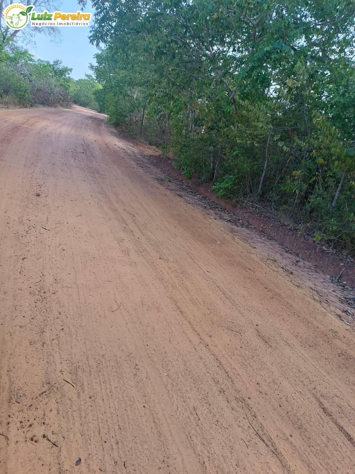 Fazenda à venda, 26000m² - Foto 10