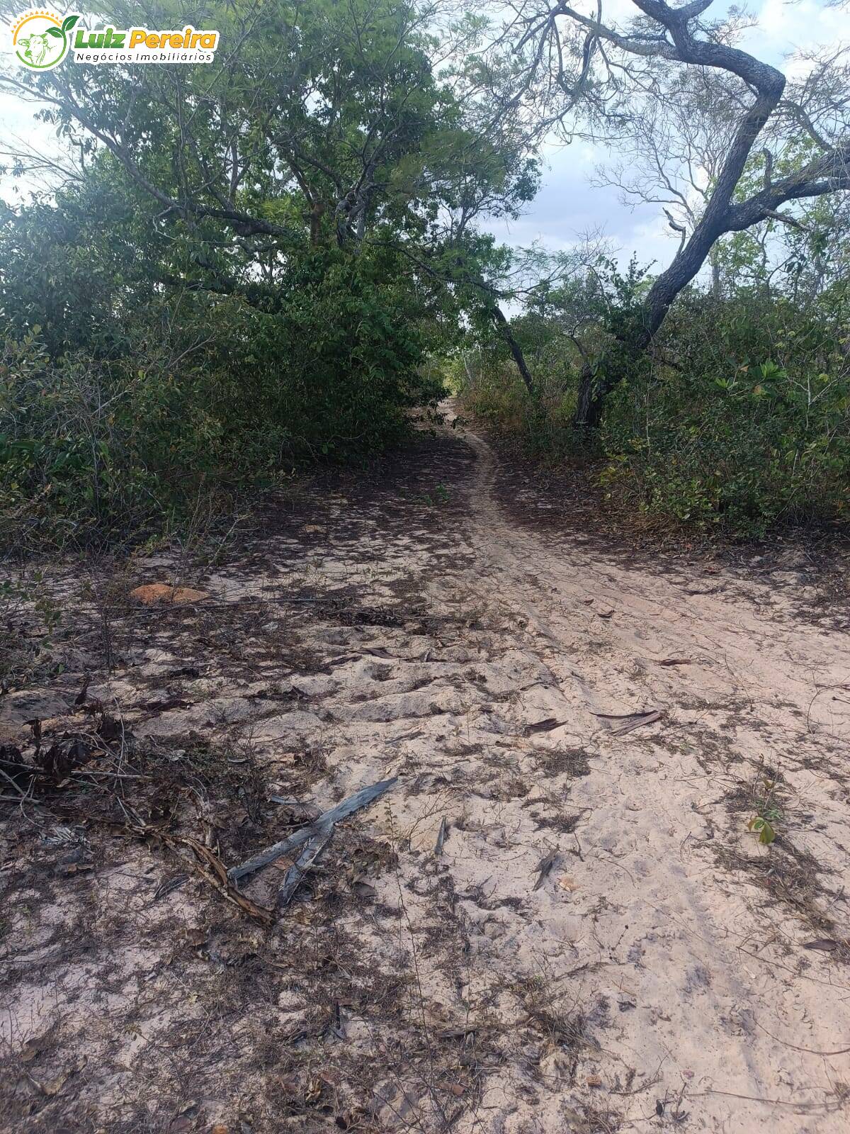 Fazenda à venda, 26000m² - Foto 7