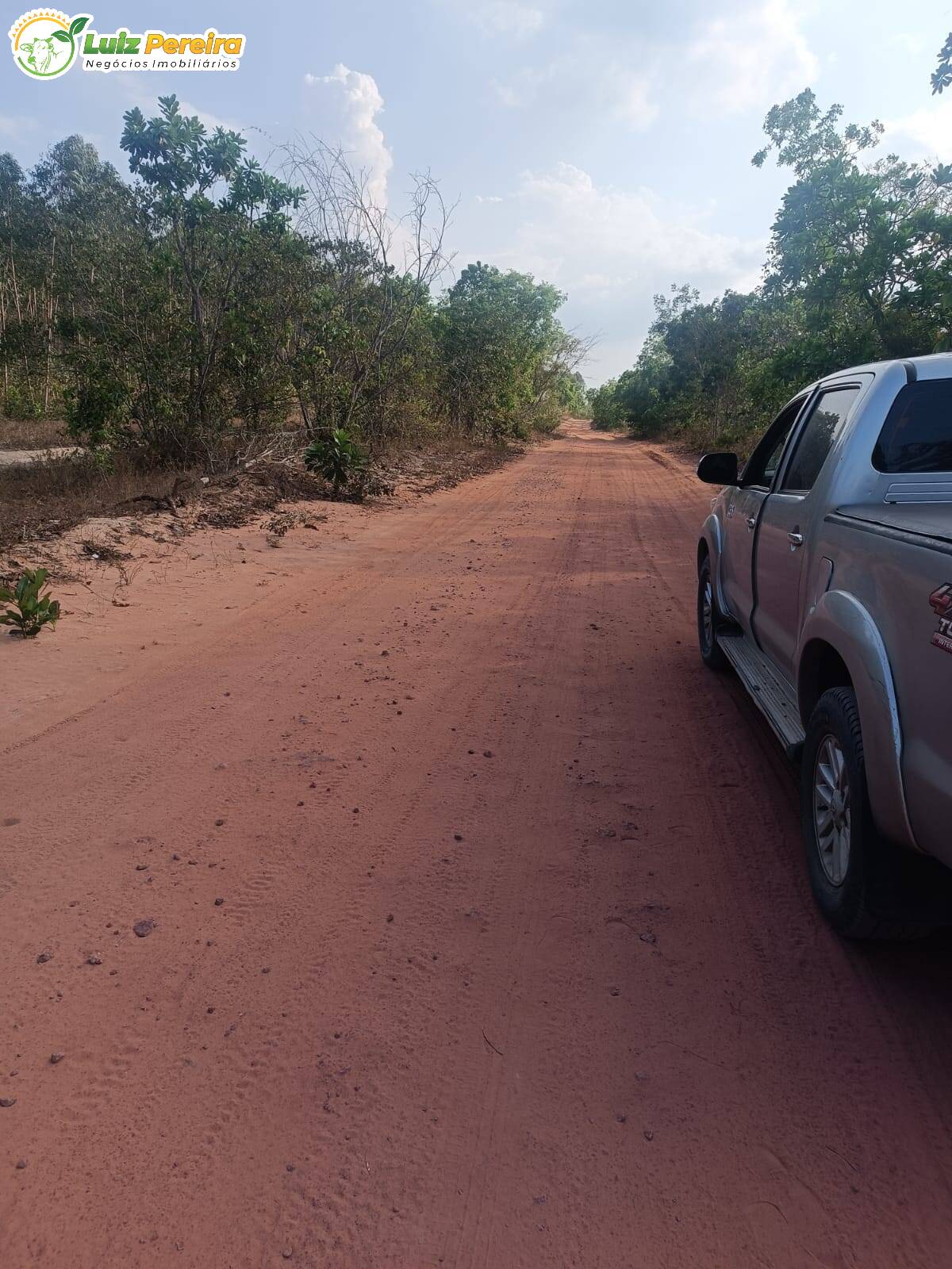 Fazenda à venda, 26000m² - Foto 12