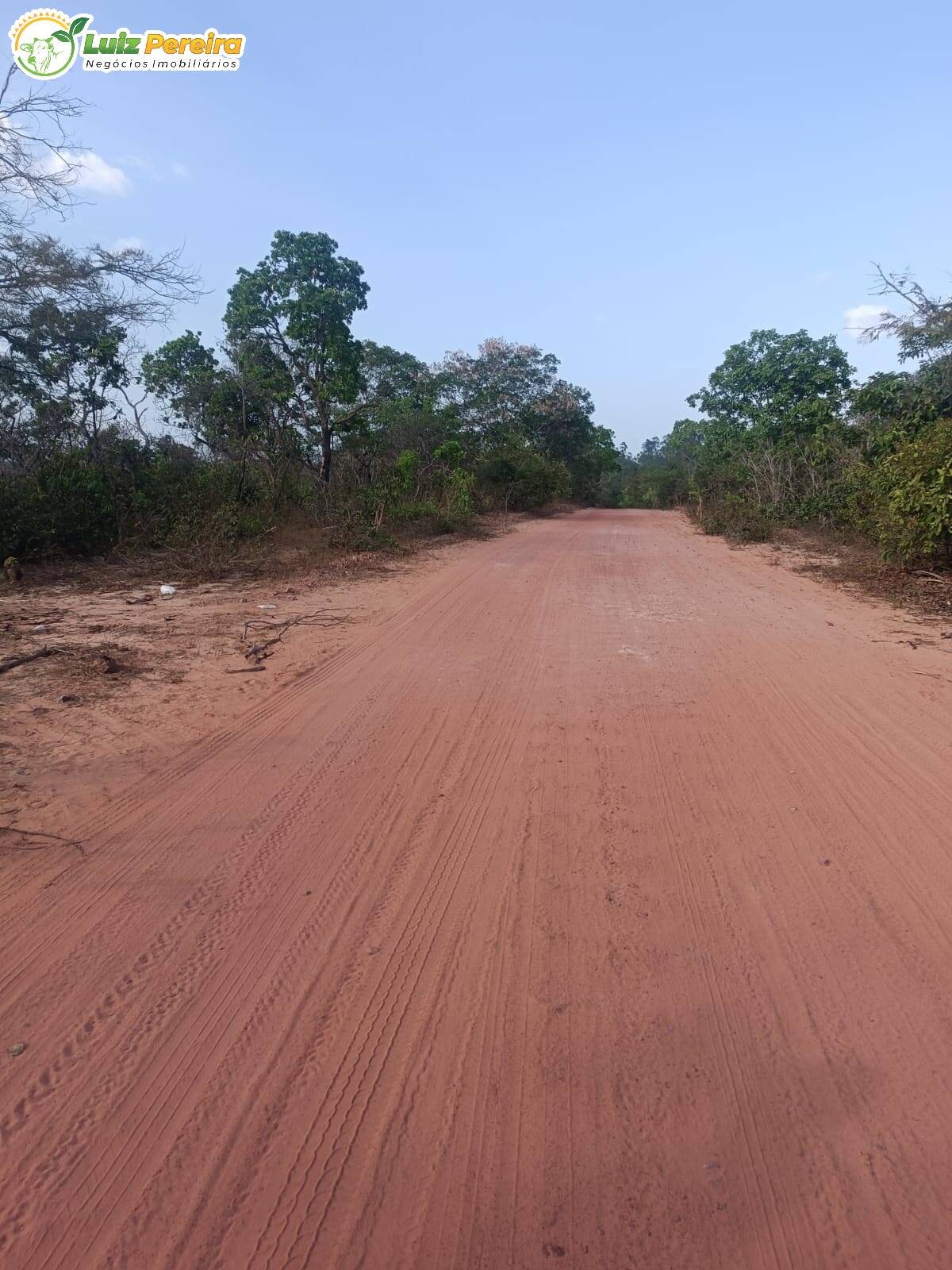 Fazenda à venda, 26000m² - Foto 13