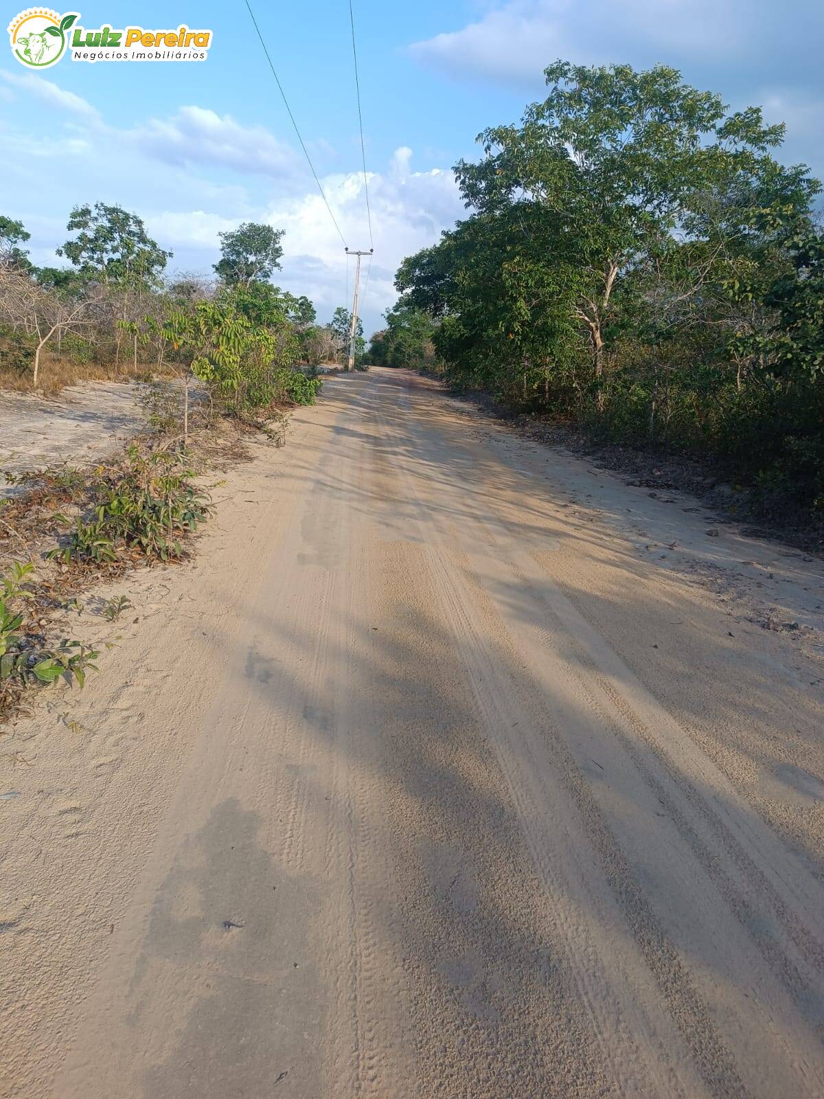 Fazenda à venda, 26000m² - Foto 19