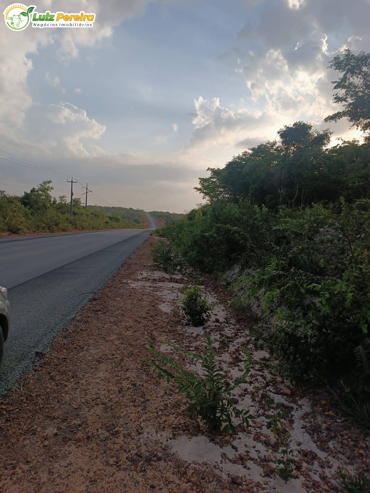 Fazenda à venda, 26000m² - Foto 8