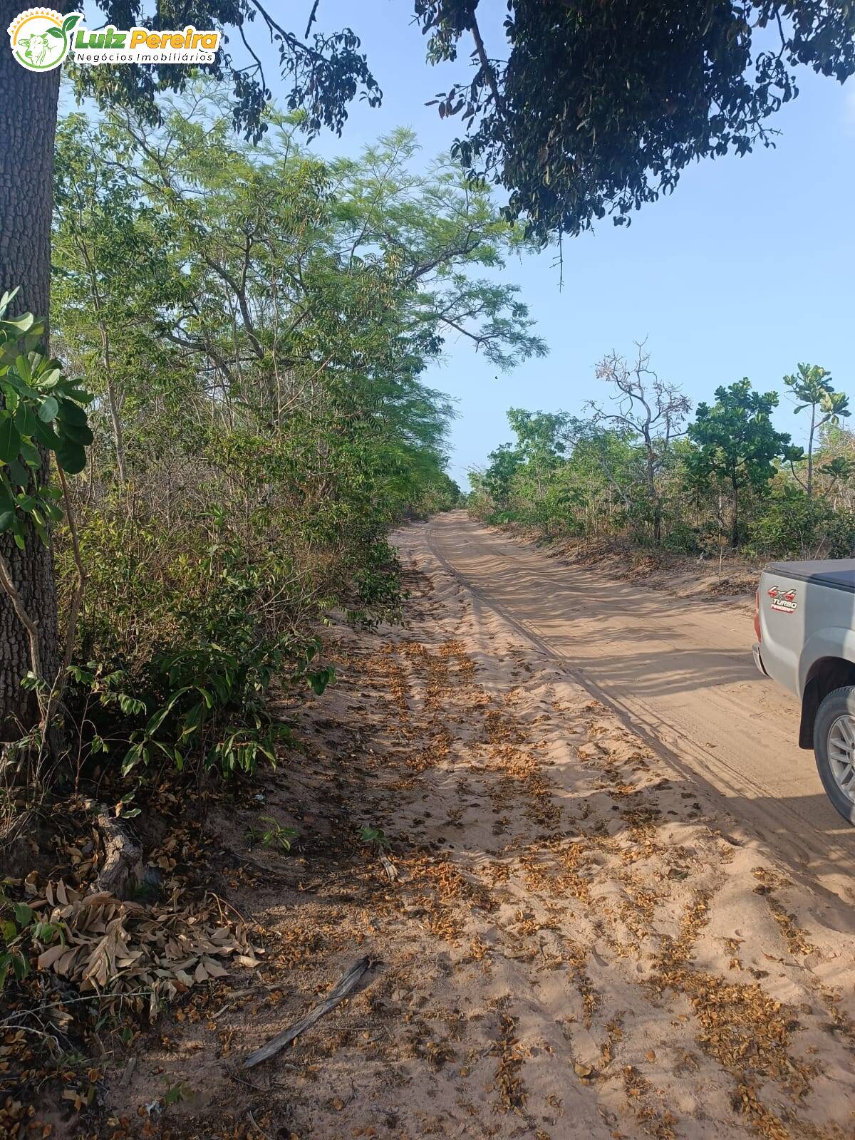 Fazenda à venda, 26000m² - Foto 9