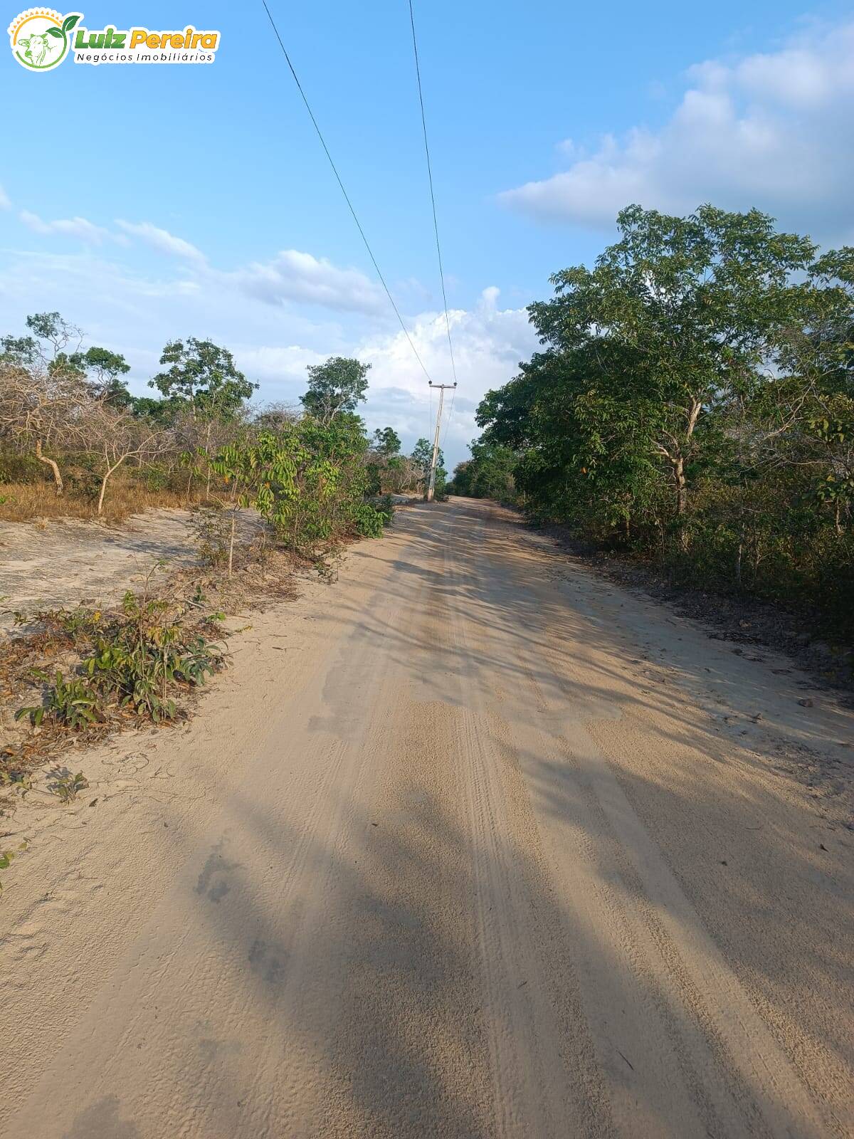 Fazenda à venda, 26000m² - Foto 18