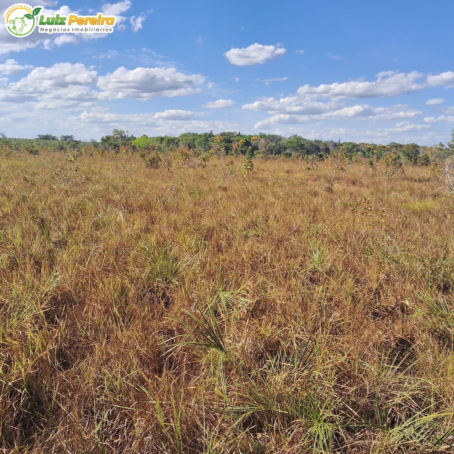 Fazenda à venda, 372m² - Foto 8