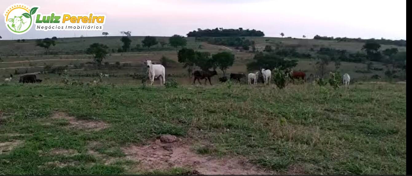 Terreno à venda, 700m² - Foto 2