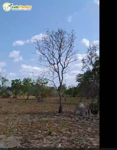 Fazenda à venda, 3700m² - Foto 13