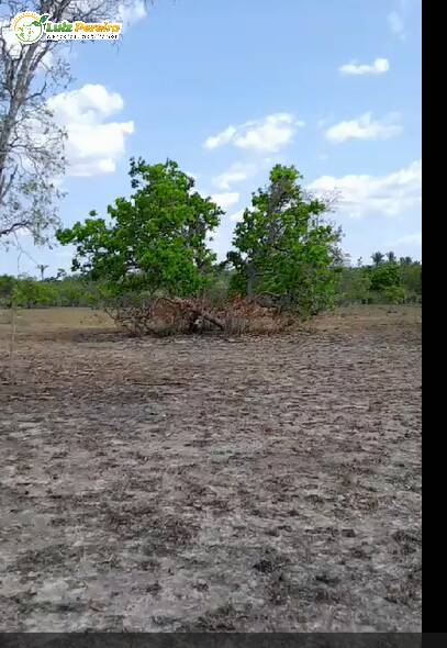 Fazenda à venda, 3700m² - Foto 8