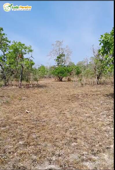 Fazenda à venda, 3700m² - Foto 28