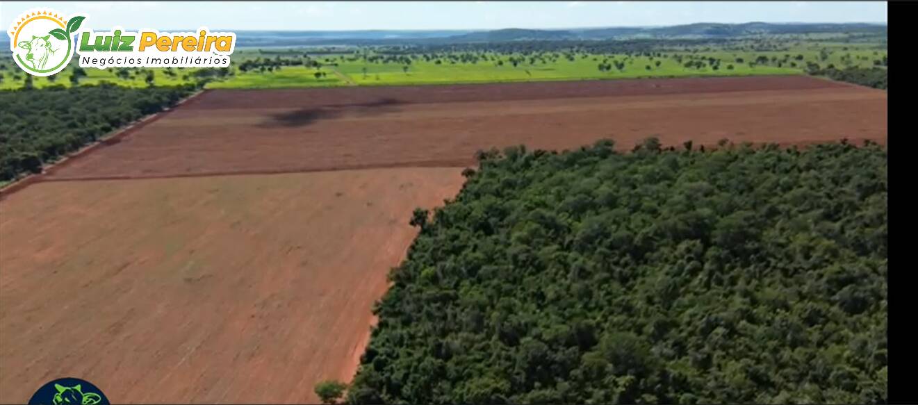 Fazenda à venda, 175m² - Foto 6