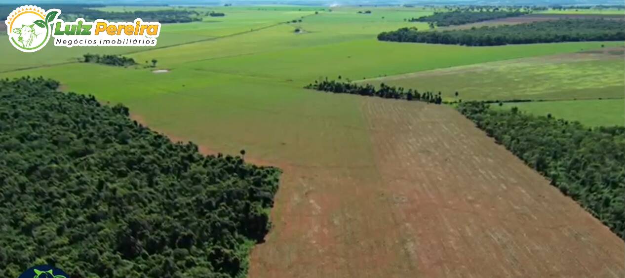 Fazenda à venda, 175m² - Foto 7