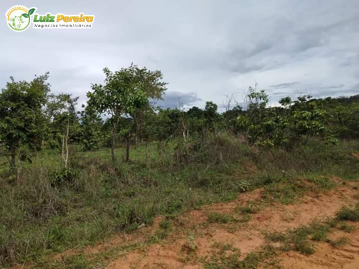 Fazenda à venda, 5800m² - Foto 12