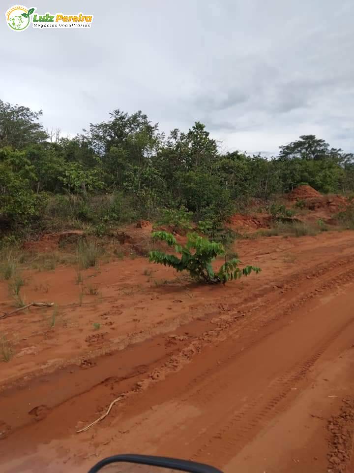 Fazenda à venda, 5800m² - Foto 14