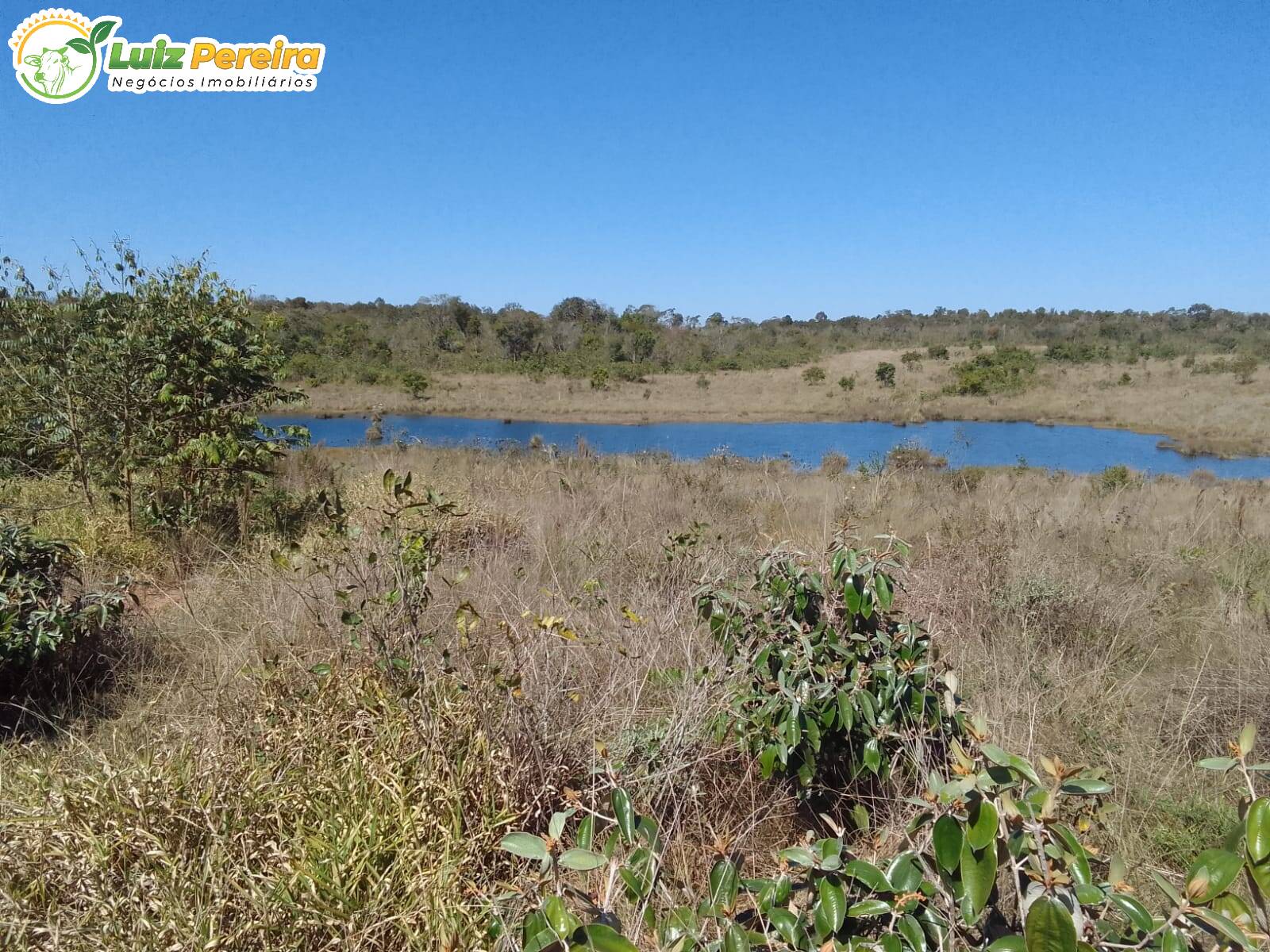 Fazenda à venda, 200m² - Foto 6