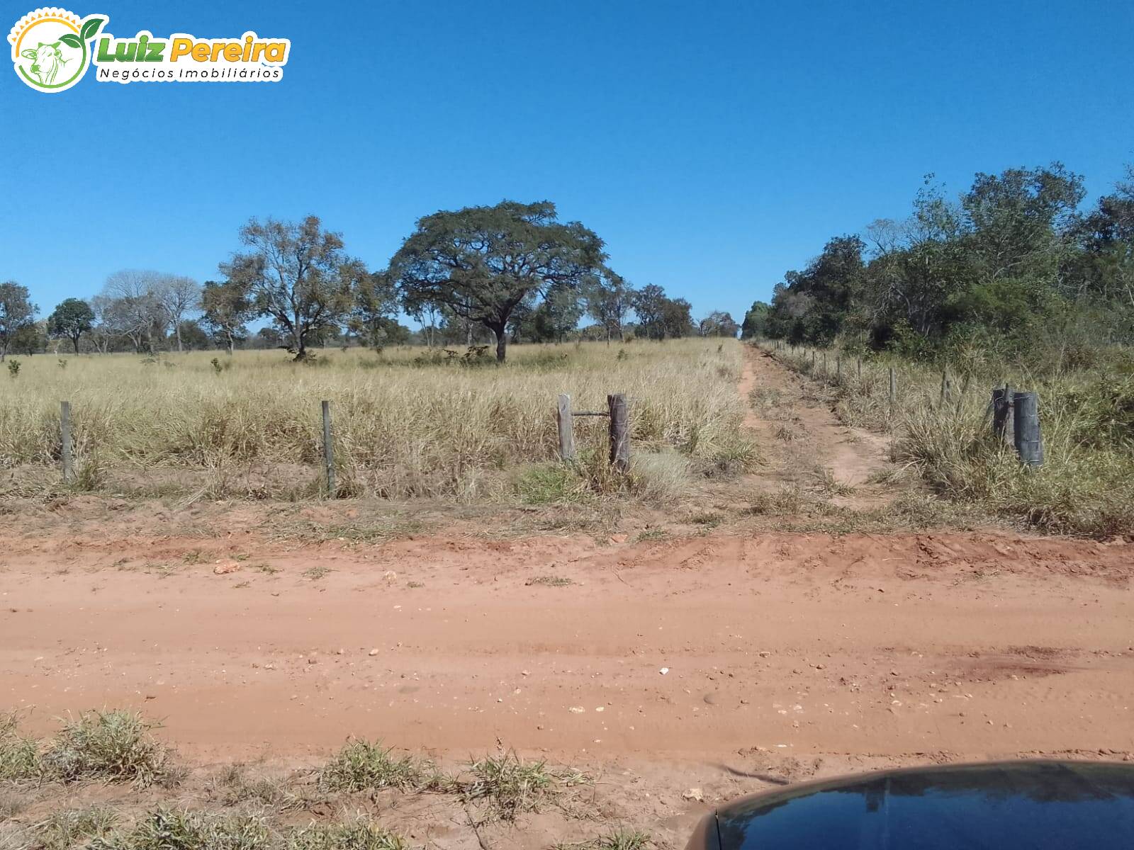 Fazenda à venda, 200m² - Foto 8