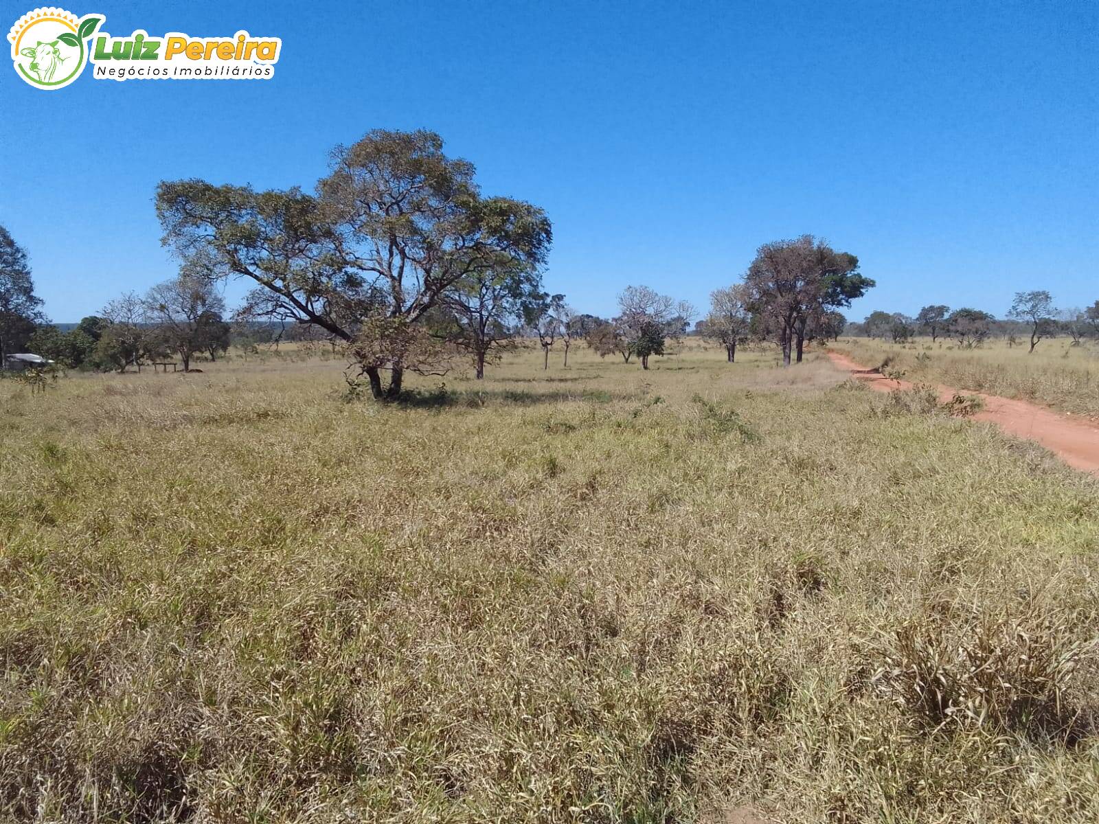 Fazenda à venda, 200m² - Foto 9