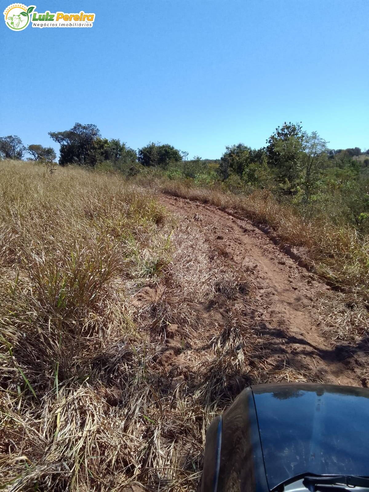 Fazenda à venda, 200m² - Foto 12