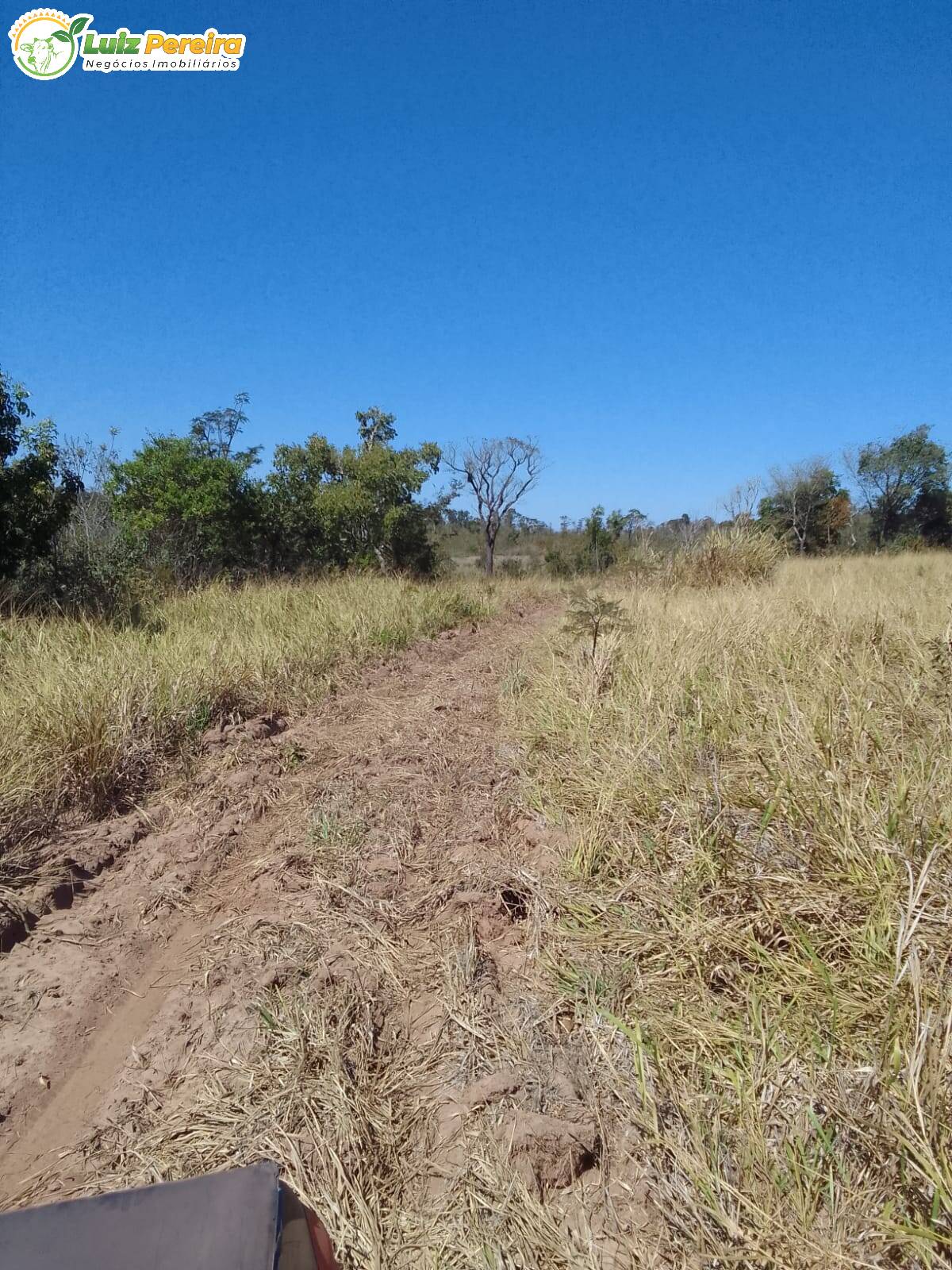 Fazenda à venda, 200m² - Foto 17