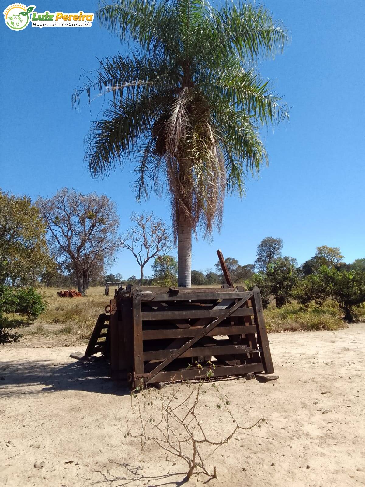 Fazenda à venda, 200m² - Foto 19