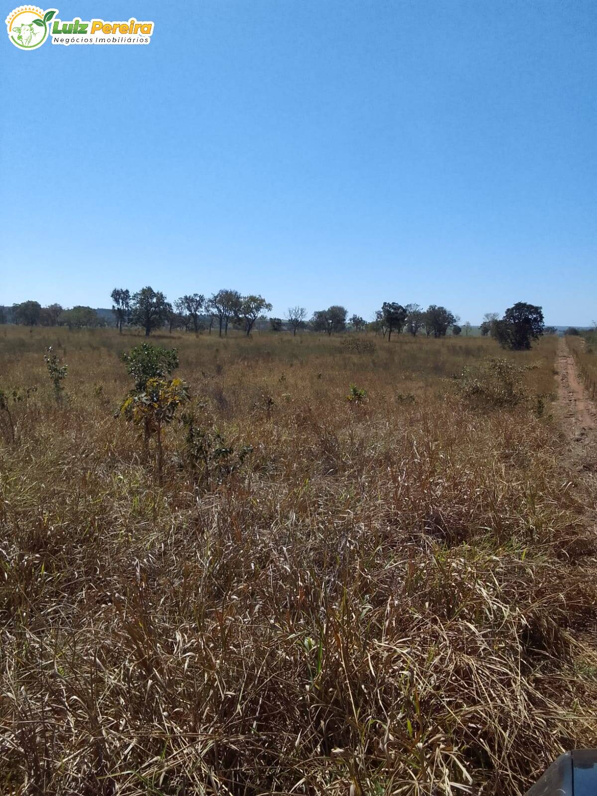 Fazenda à venda, 200m² - Foto 15