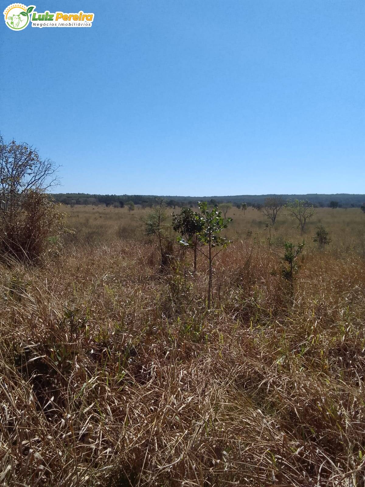 Fazenda à venda, 200m² - Foto 13