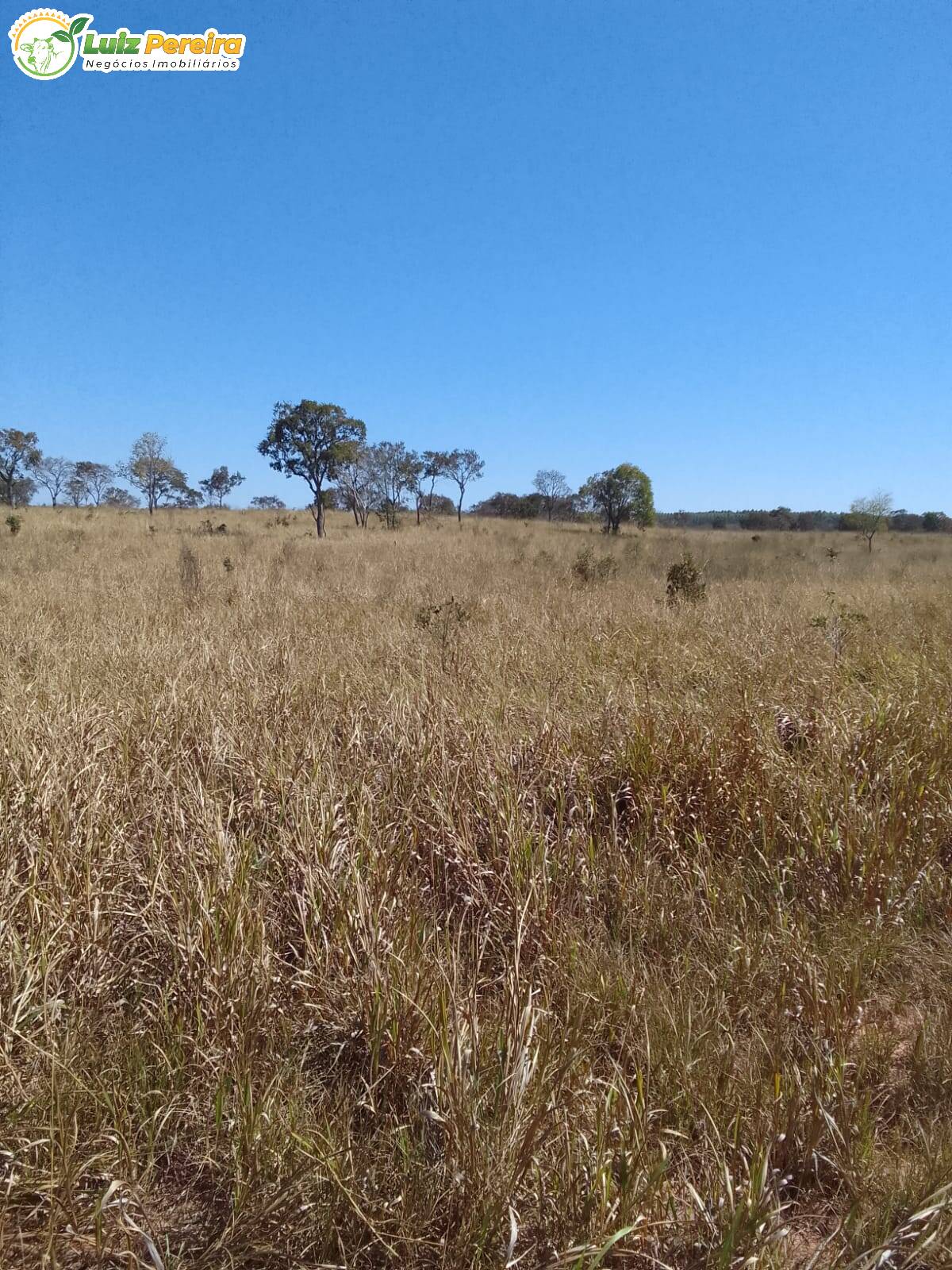 Fazenda à venda, 200m² - Foto 10