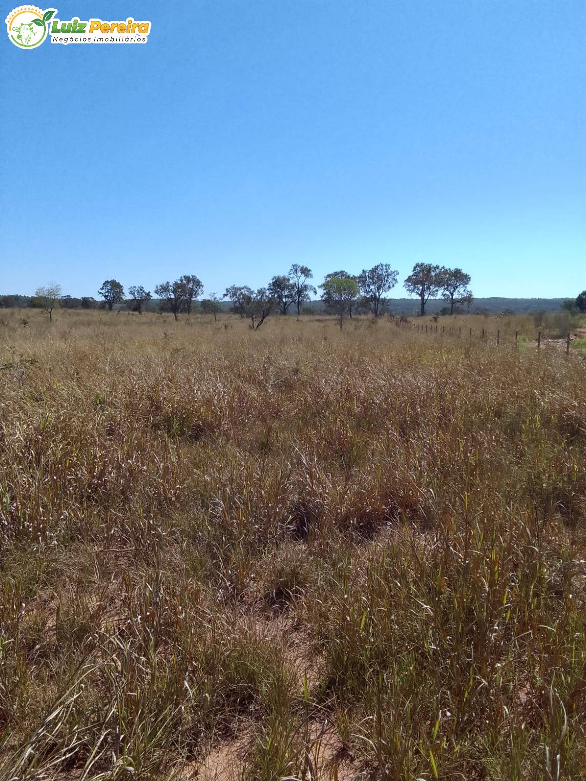 Fazenda à venda, 200m² - Foto 14