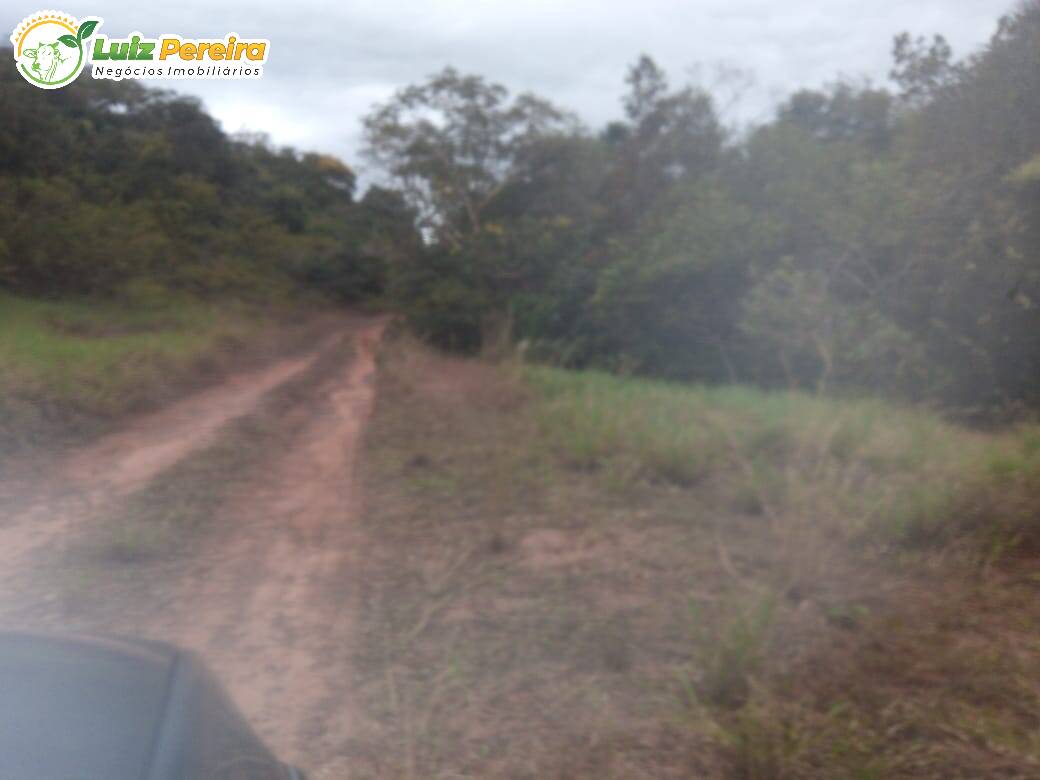 Fazenda à venda, 500m² - Foto 5