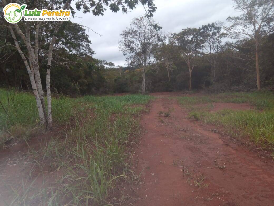 Fazenda à venda, 500m² - Foto 11