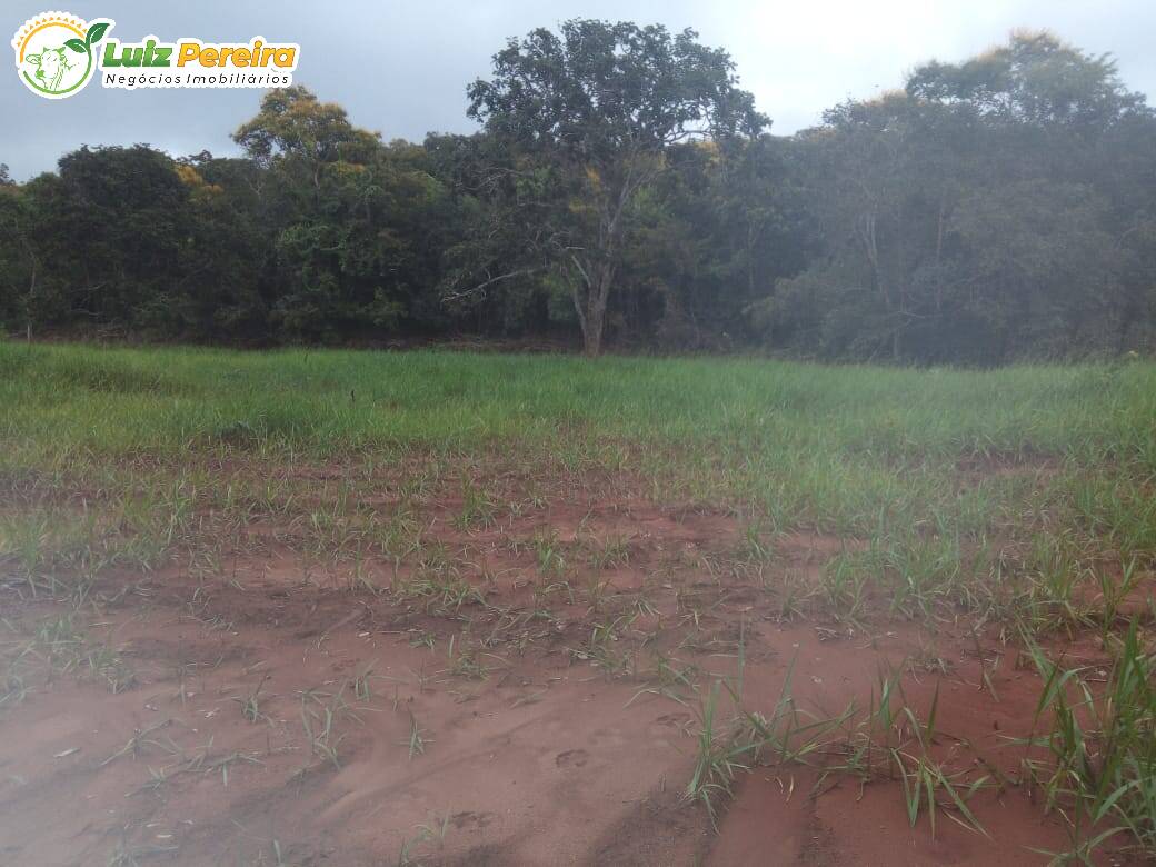 Fazenda à venda, 500m² - Foto 3