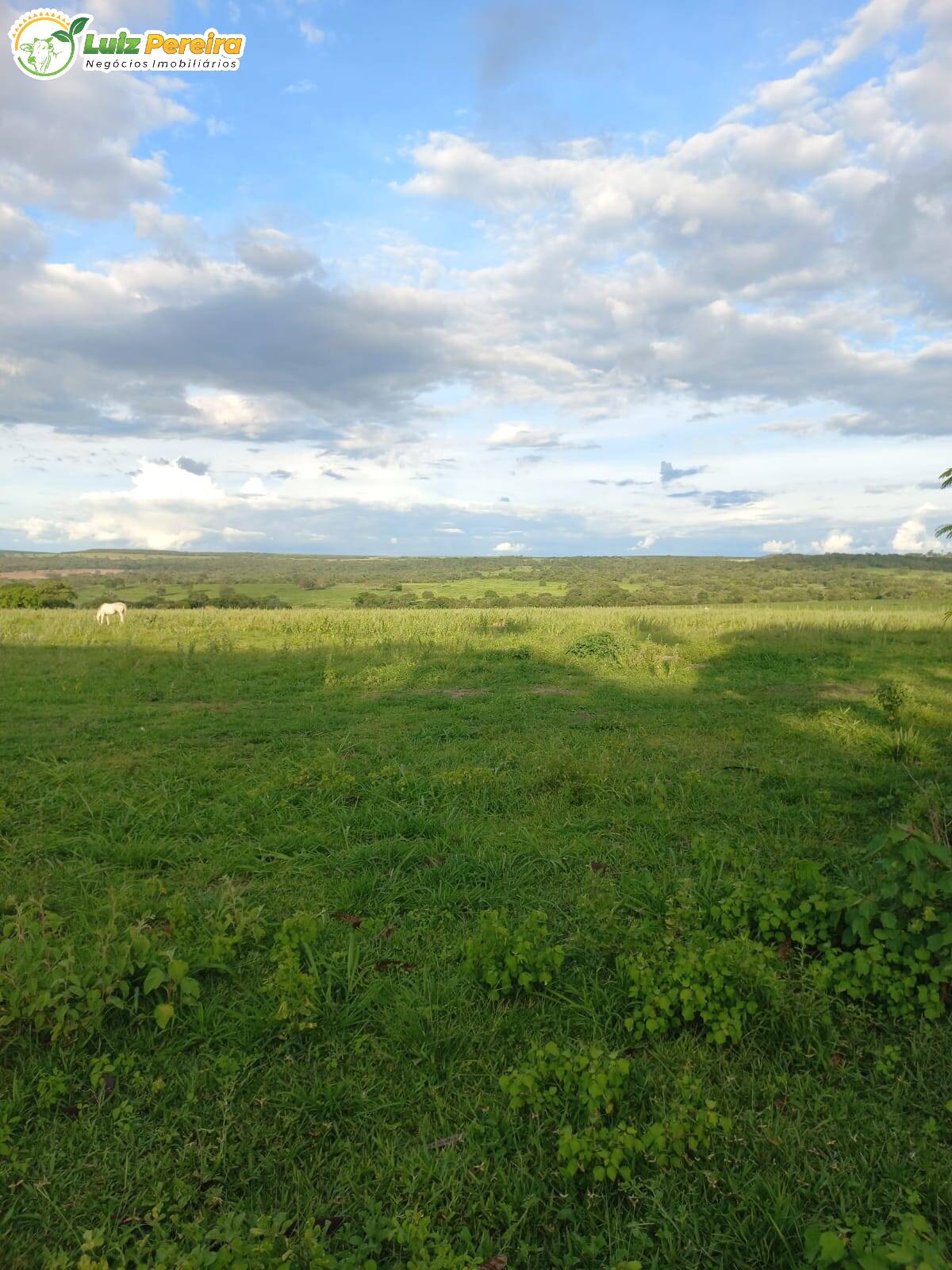 Fazenda à venda, 3675m² - Foto 7