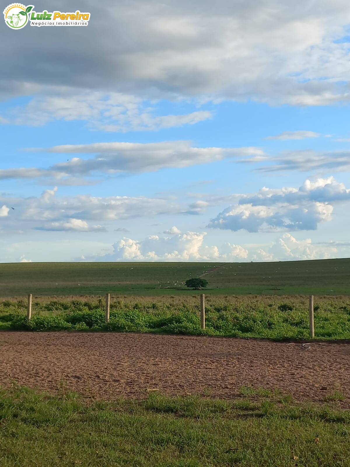 Fazenda à venda, 3675m² - Foto 10