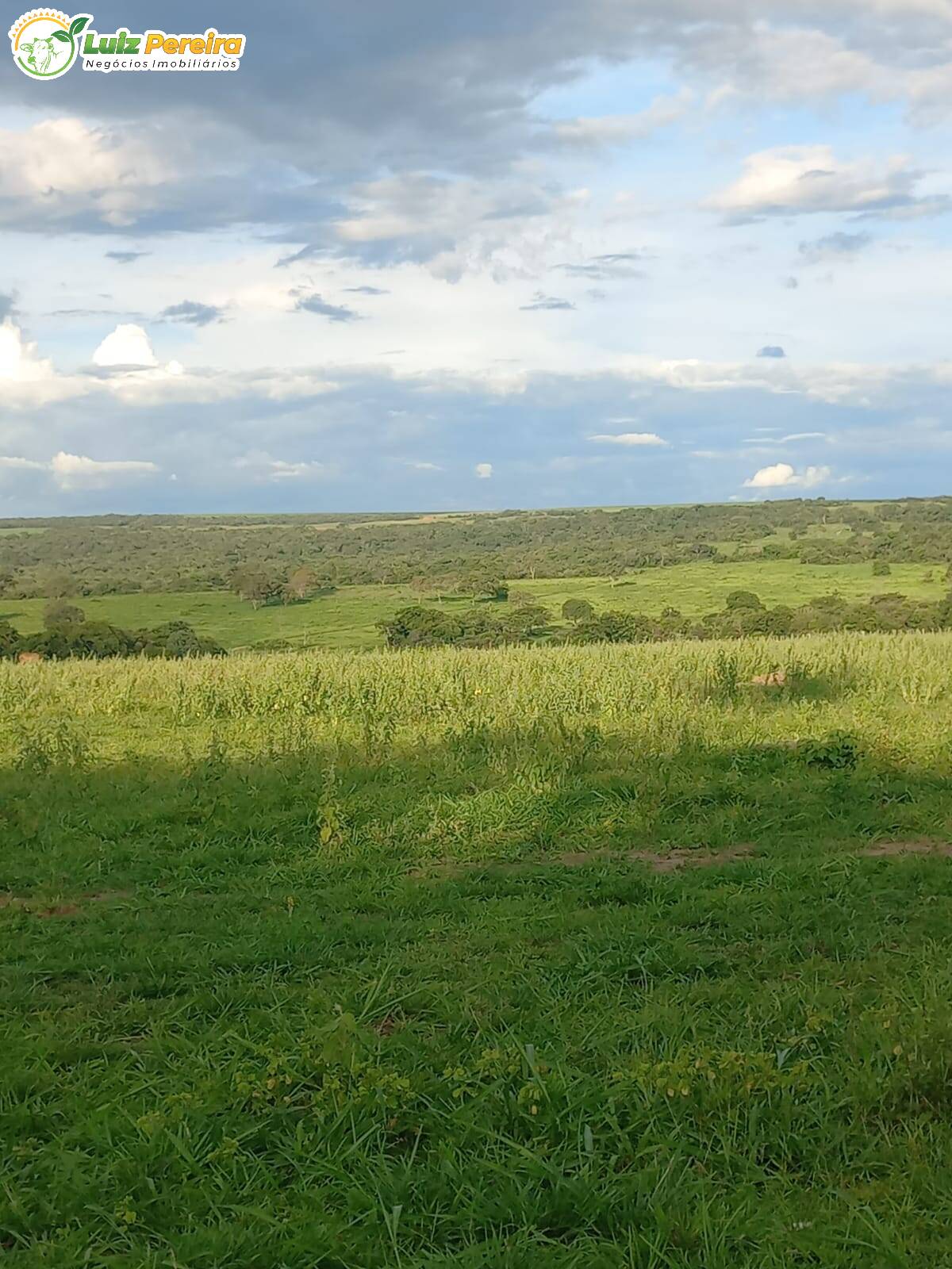 Fazenda à venda, 3675m² - Foto 3